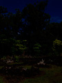 hawaii_keaiwa heiau